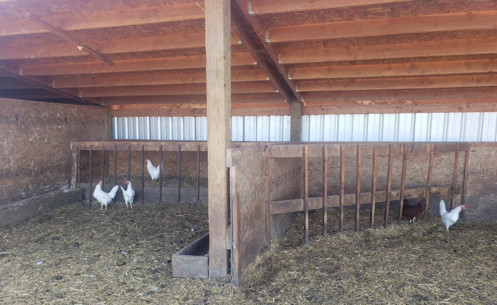 Hay Feeders in shelter