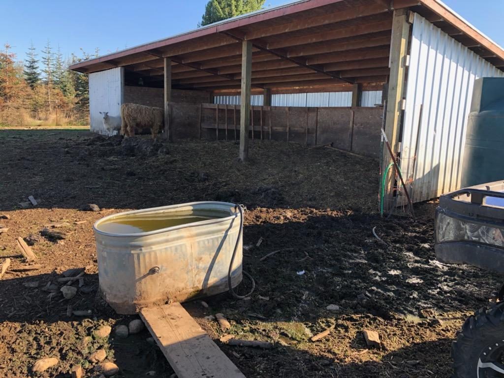 One of the troughs filled from the water tanks