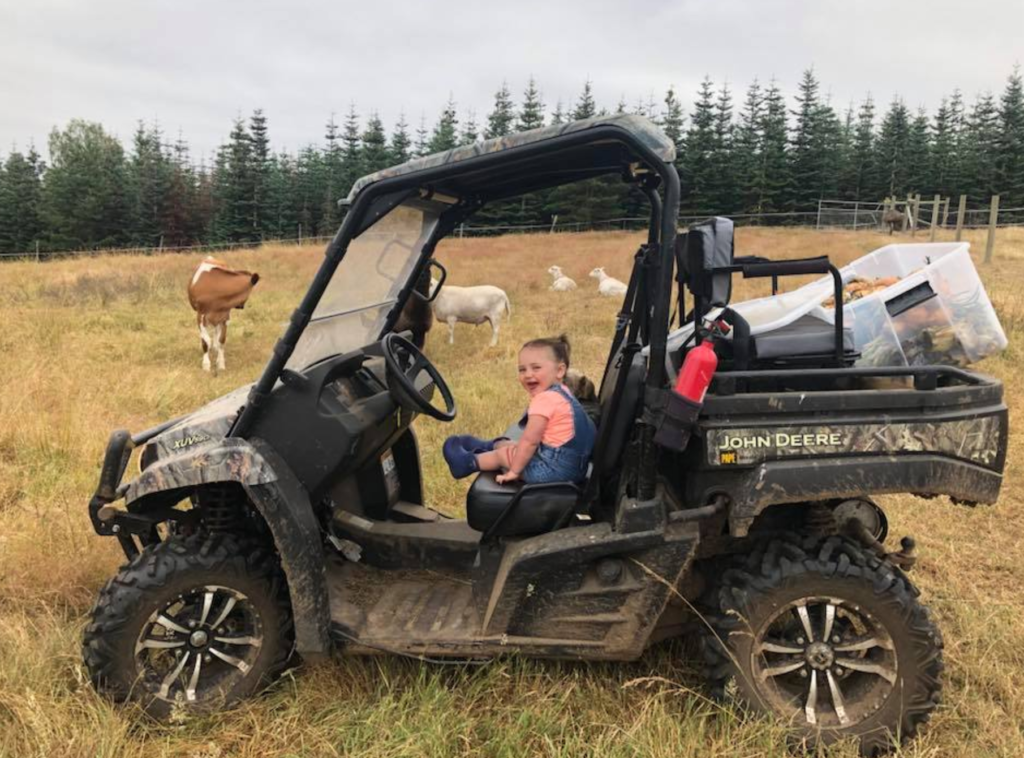 Peyton & Port (Yorkie) never miss a chance to go for a ride