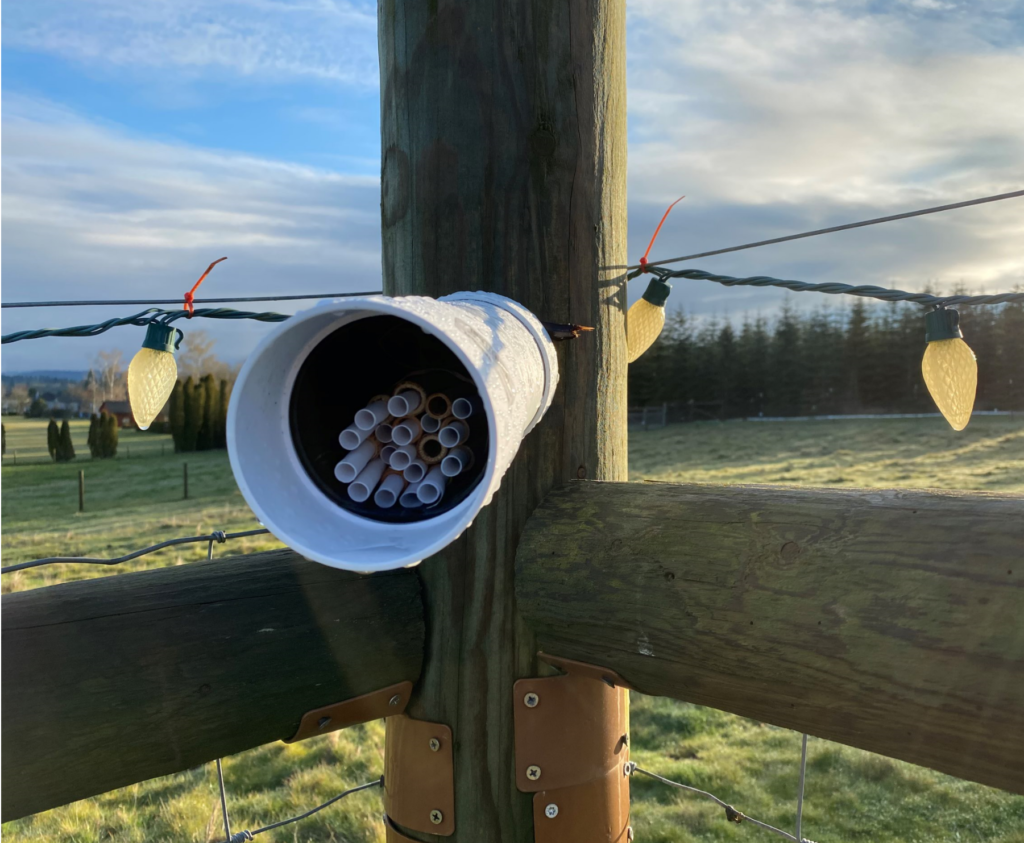 Bees house installed on a corner post