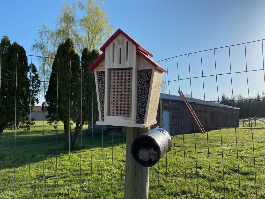 New mason bee house