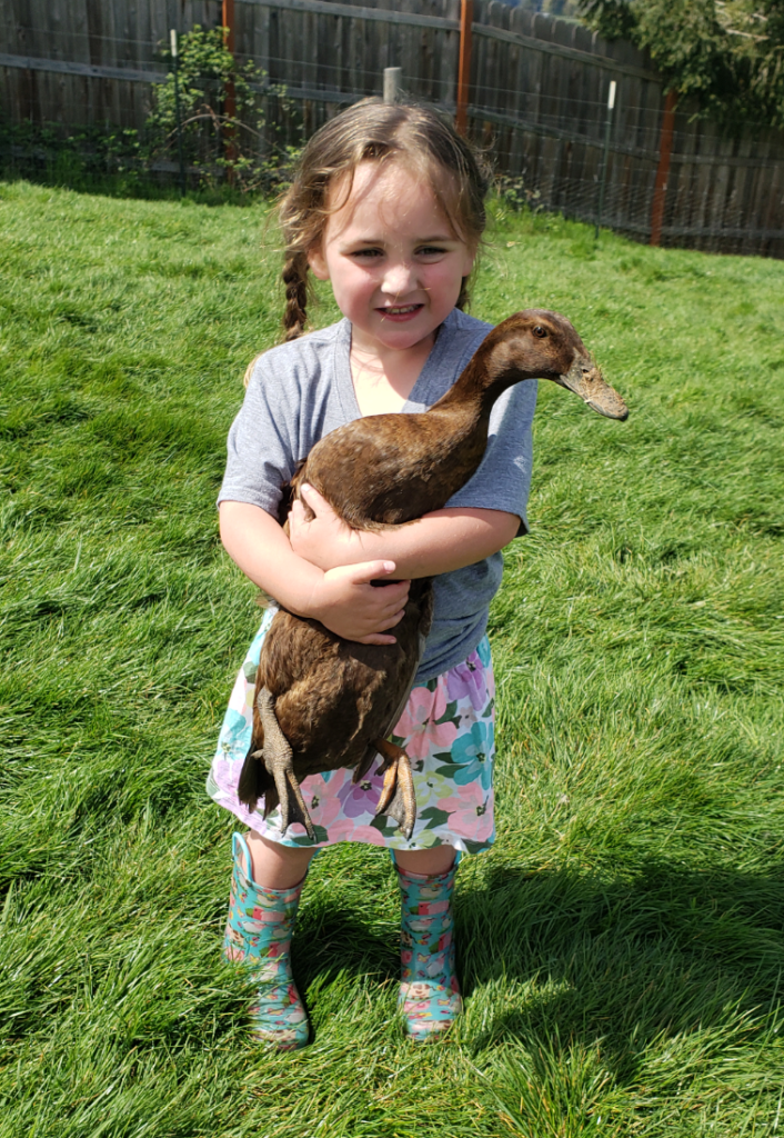 Peyton loves to run around the pasture and catch the grown ducks