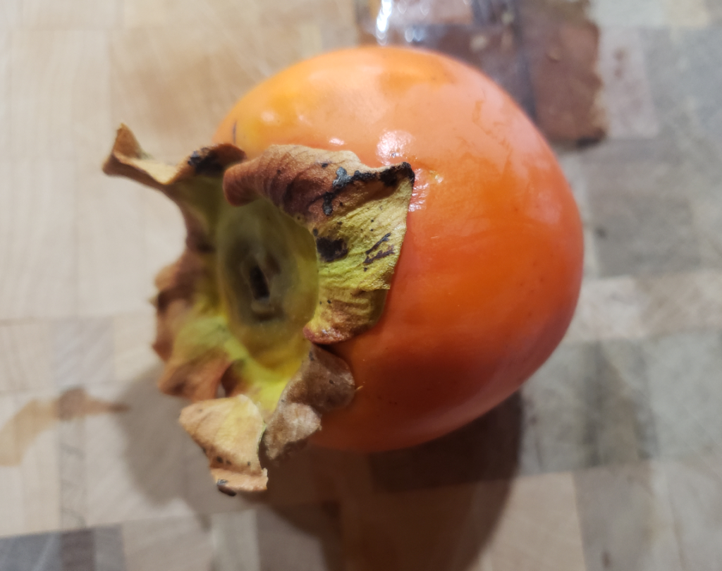 Persimmon