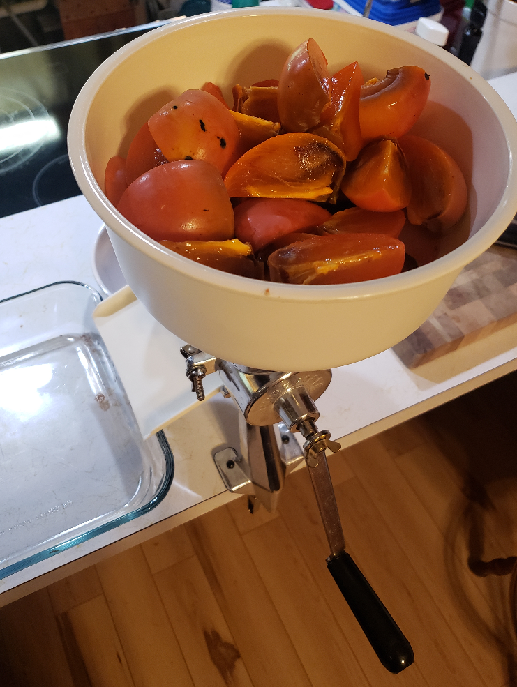 Persimmons in food mill 