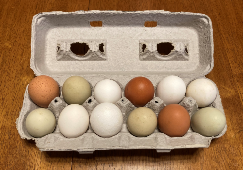 Random pack of eggs